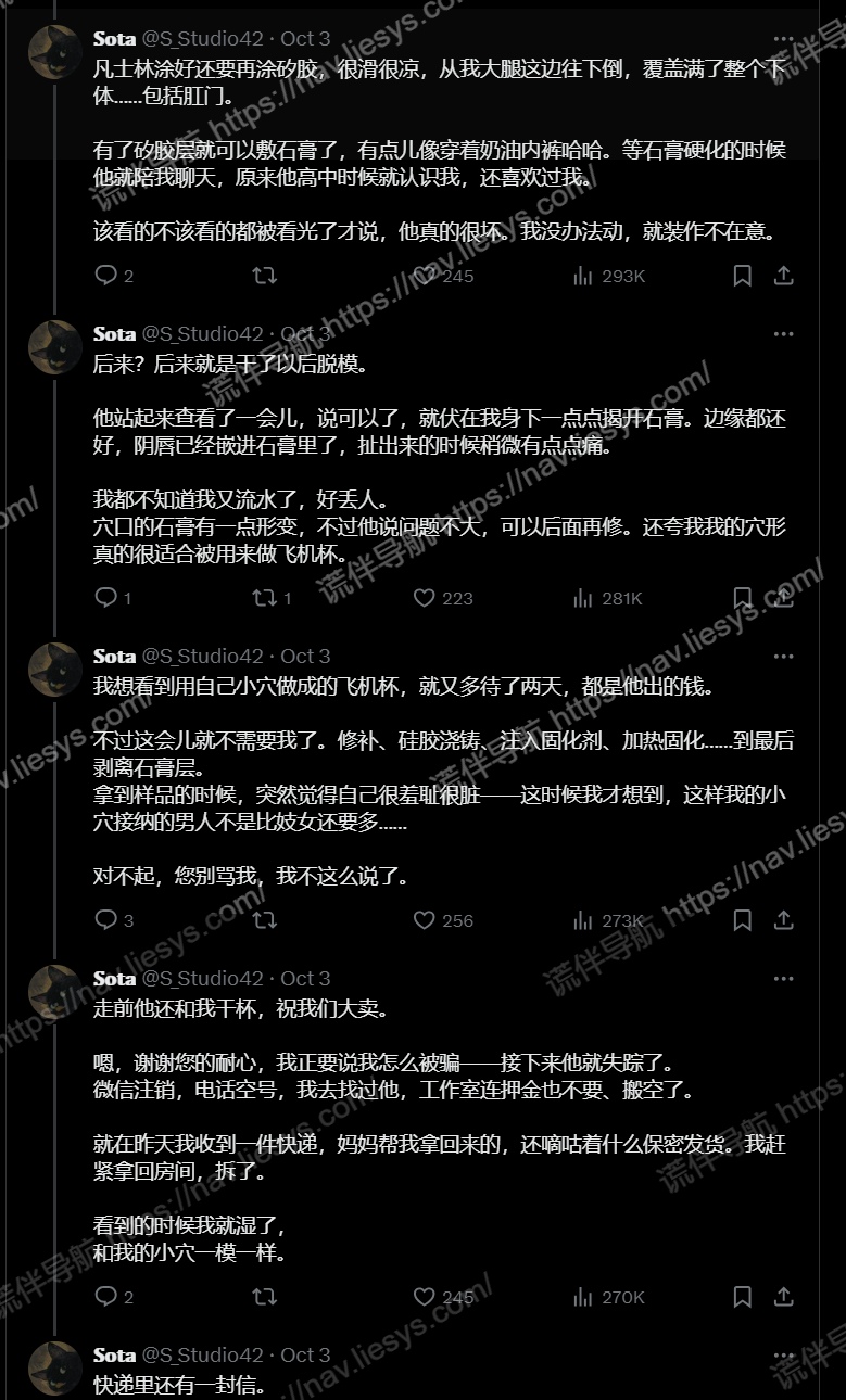 推特幻想文学：《我被骗子做成了飞机杯》 谨防倒模诈骗