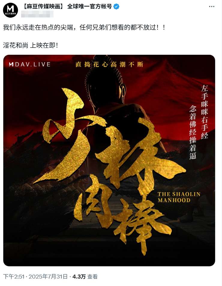 麻豆蹭热点发布作品《少林*棒》宣传海报